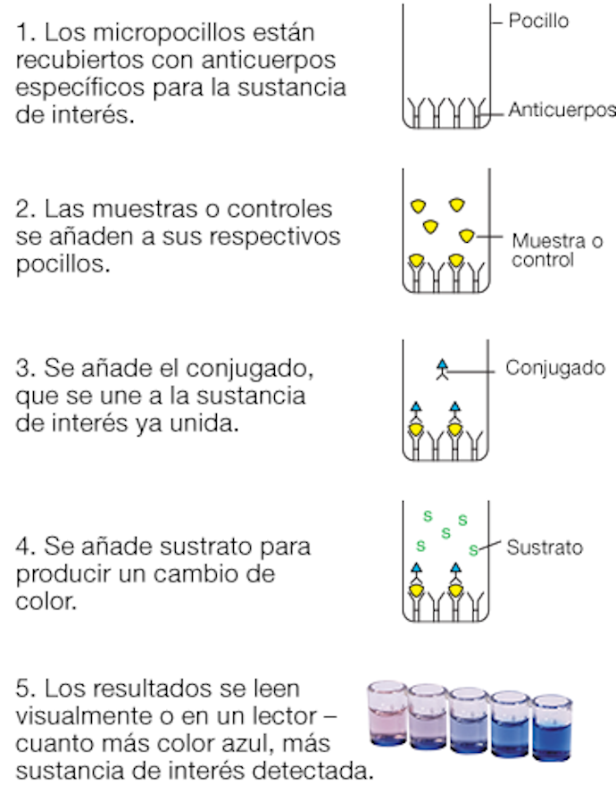 8520_diagram_es.png