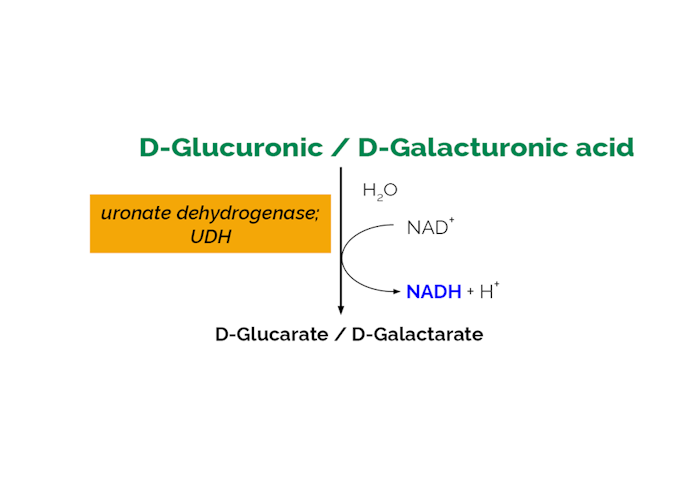 Megazyme_Scheme-K-URONIC-ProdIm.png