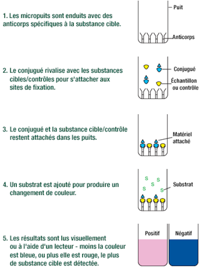 Alert_cd-elisa-diagram_fr.png