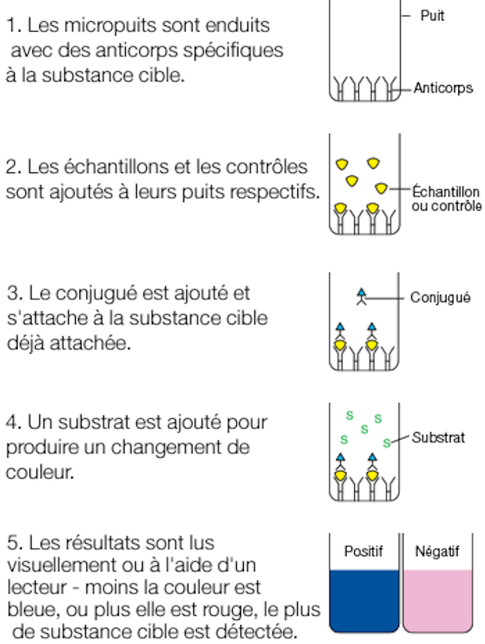 Alert_diagram_fr.png