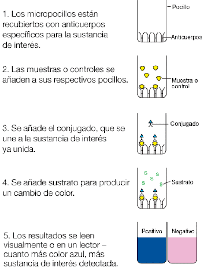 Alert_diagram_es.png