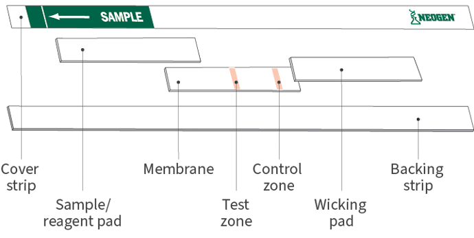 Official_Specifications-Lateral-Flow-Device_Illustration.png