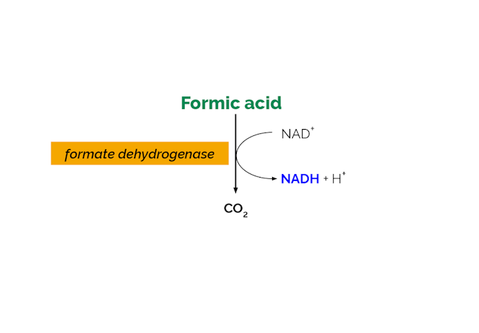 Megazyme_Scheme-K-FORM-ProdIm.png