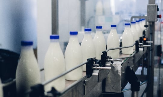 Image of milk bottles in a processing facility