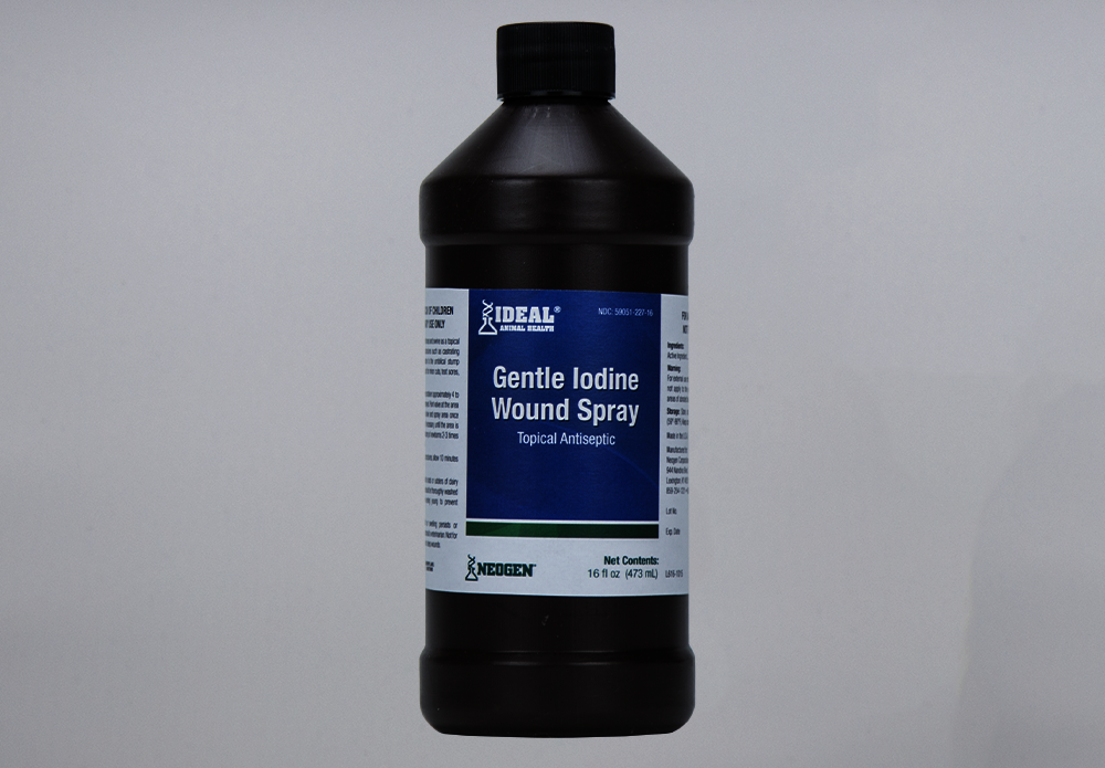 79214 726087792149 Ideal Animal Health Gentle Iodine Wound Spray_1.png