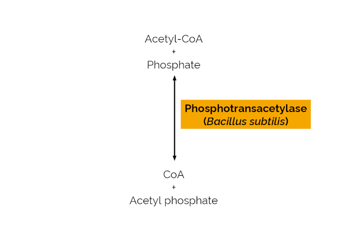Megazyme_Scheme-E-PTABS.png