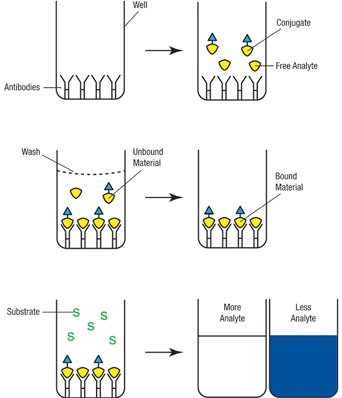 AssayPrincipleIllustration_LifeScience.png
