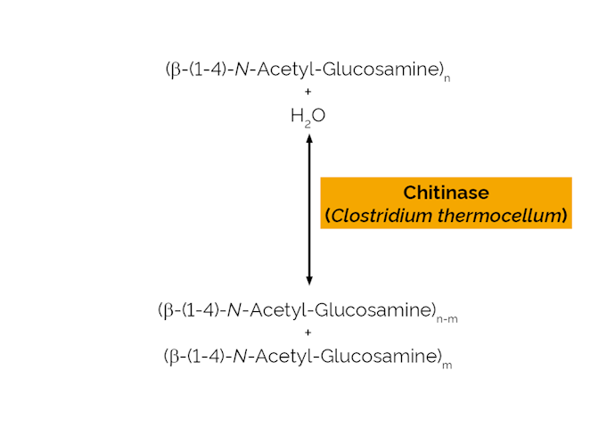 Megazyme_Scheme-E-CHITN.png