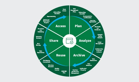 Cycle chart illustration showing a mature data lifecycle 