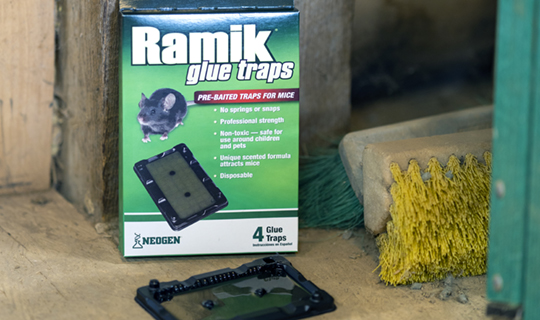 Rami K Ramik® | Rodent Control Solutions