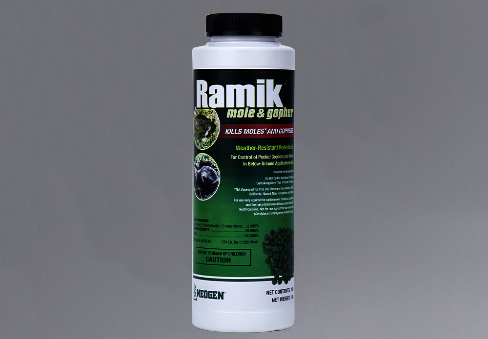 116309 023626024304 Ramik Mole and Gopher_1.png