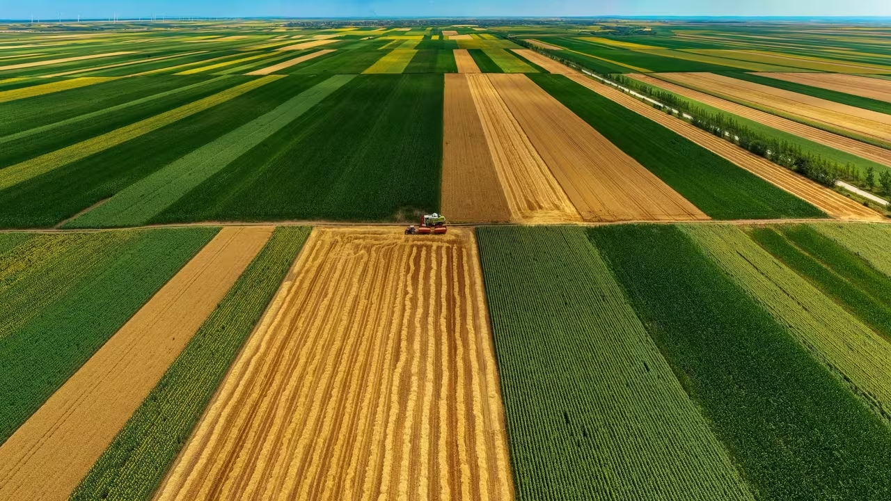 Ariel view photograph of farm machinery harvesting crop